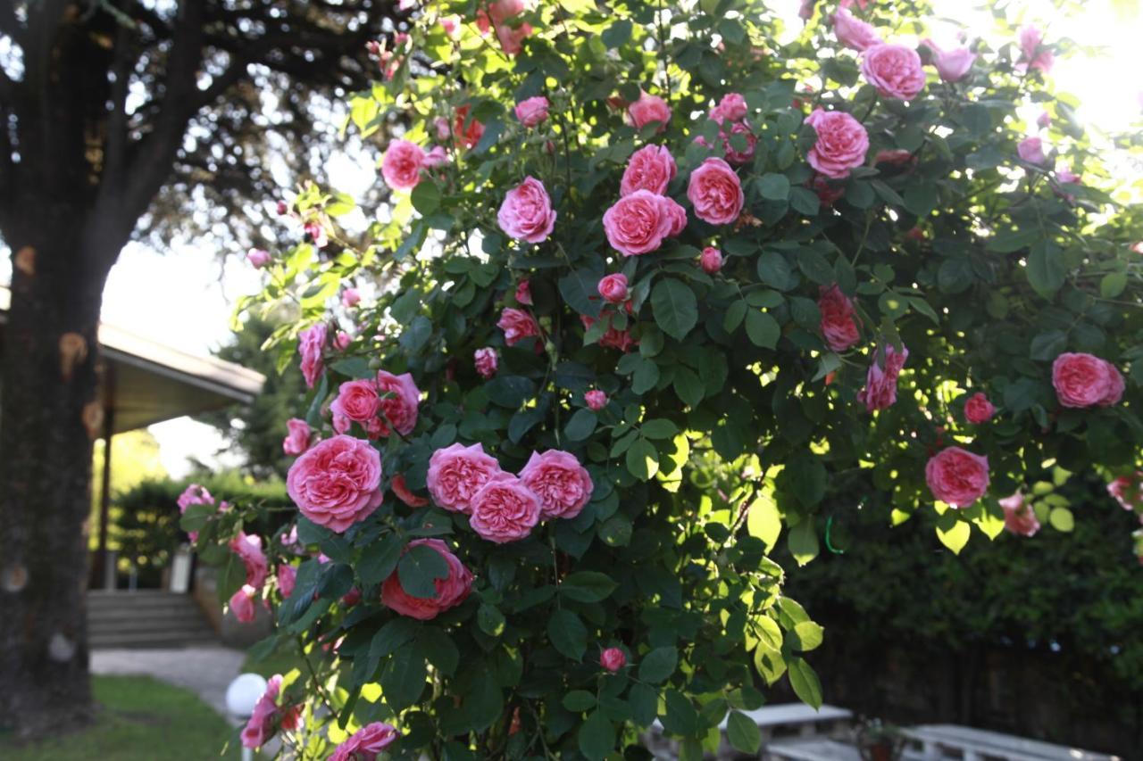 Acquachiara Iseo Deluxe Bed & Breakfast Iseo Center With Garden And Parking Inside Extérieur photo