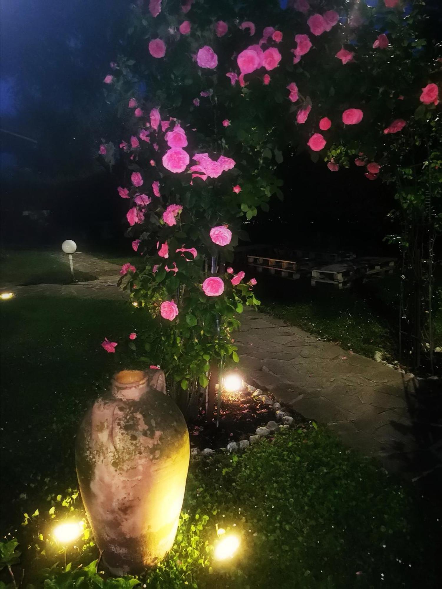 Acquachiara Iseo Deluxe Bed & Breakfast Iseo Center With Garden And Parking Inside Chambre photo
